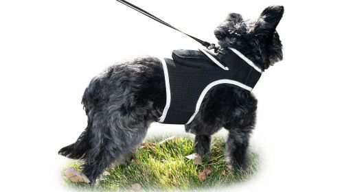 GPRS GSM GPS Pet Finder Waterproof Collar Tracking Device w/ Phone App Size:XXL