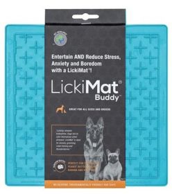 Buddy (Option: Purple Dog)