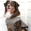 Alpine Tuf Terrain Dog Coat - Dried Sage