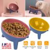 Raised Tilted Elevated Cat Food Bowl Pet Backflow Prevention Water Dish Feeding Bowl for Cats Small Dogs