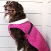 Alpine Tuf Terrain Dog Coat - Wild Raspberry