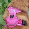 Venture Paw Pull Control Dog Harness - Wild Raspberry