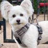 Venture Paw Pull Control Dog Harness - Dried Sage