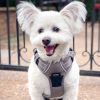 Venture Paw Pull Control Dog Harness - Dried Sage