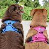 Venture Paw Pull Control Dog Harness - Mountain Lake